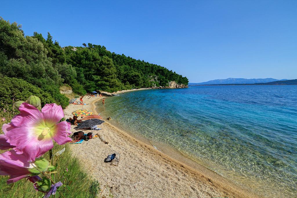 Holiday House Zorra Živogošće Zimmer foto